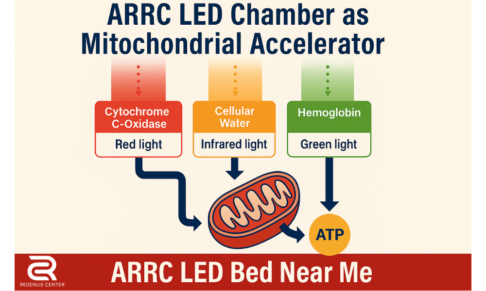 ARRC LED Bed Near Me -