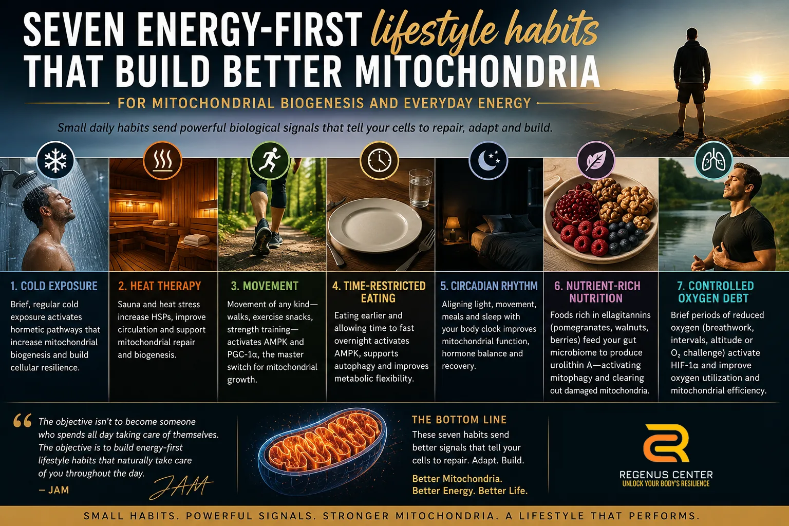 7 Lifestyle Habits for mitochondrial Biogenesis